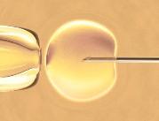 Rządowy program in vitro będzie kontynuowany